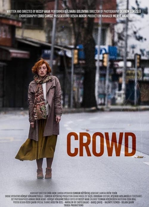 Kalabalık (The Crowd) afişi