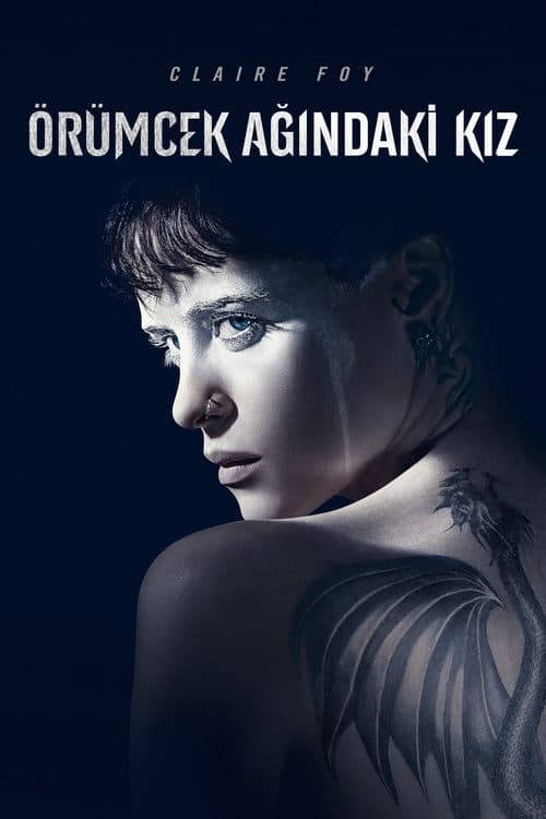 Örümcek Ağındaki Kız afişi