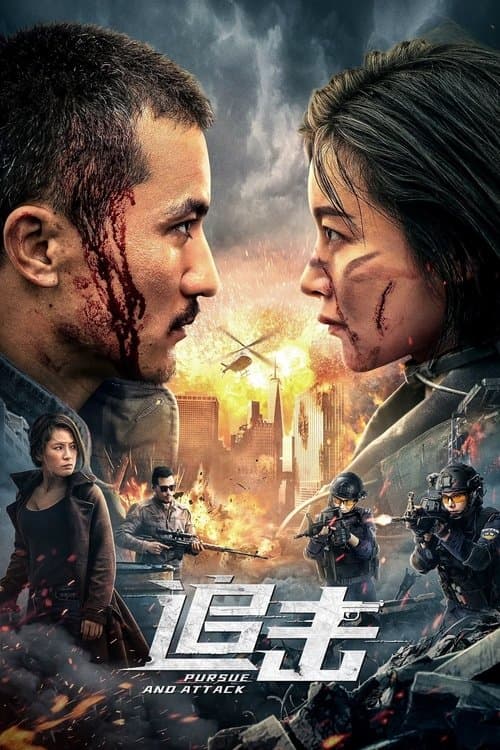 追击 afişi