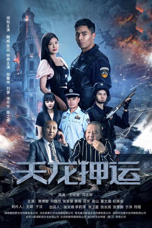 天龙押运 afişi