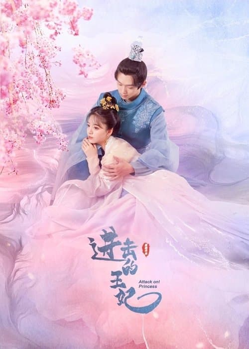 进击的王妃 afişi