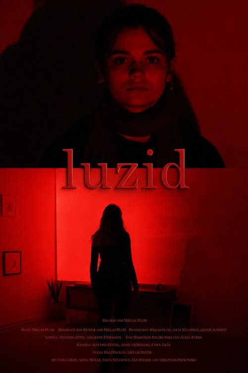 luzid afişi