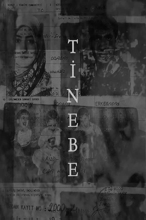 Tinebe afişi