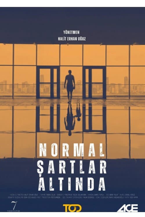 Normal Şartlar Altında 2025 afişi
