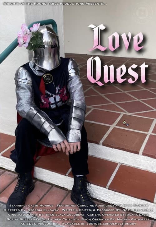 Love Quest afişi