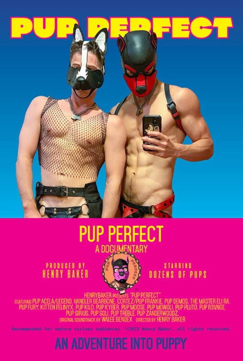Pup Perfect afişi