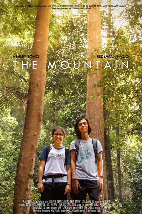 The Mountain afişi