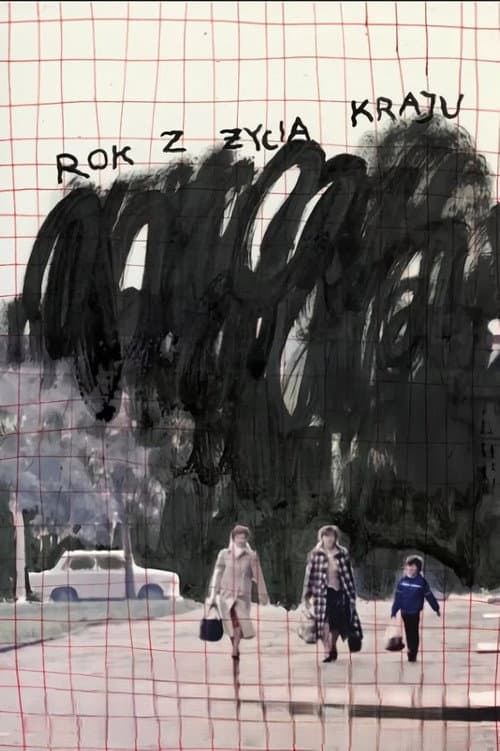 Rok z życia kraju afişi