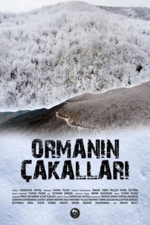 Ormanın Çakalları afişi