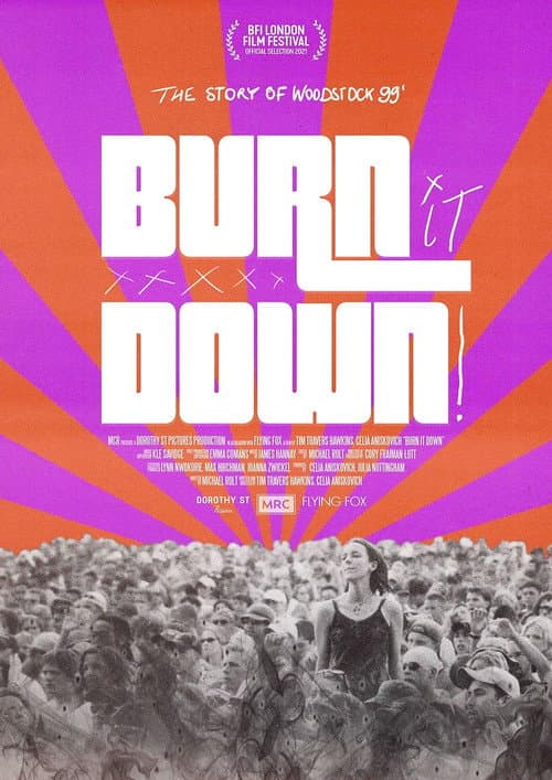BURN IT DOWN! afişi