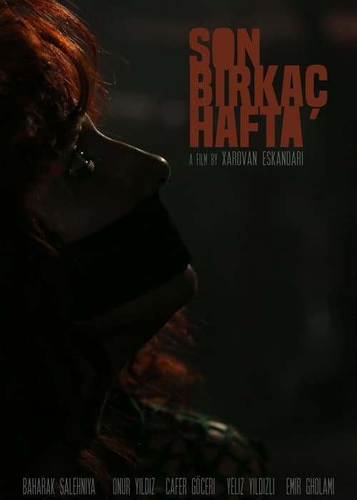 Son Birkaç Hafta afişi