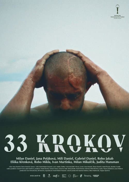 33 krokov afişi