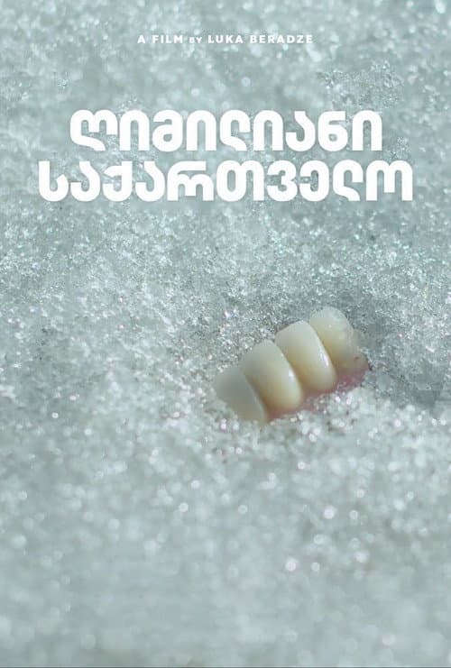 ღიმილიანი საქართველო afişi