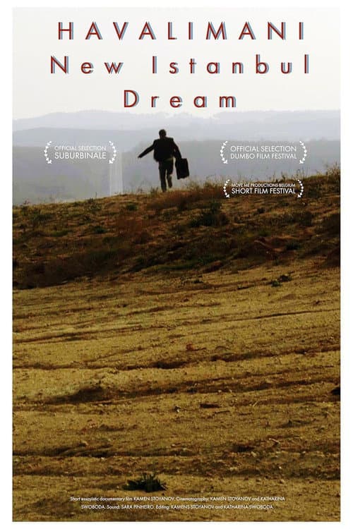 New Istanbul Dream afişi