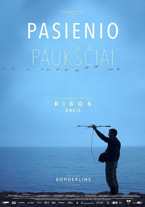 Pasienio paukščiai afişi