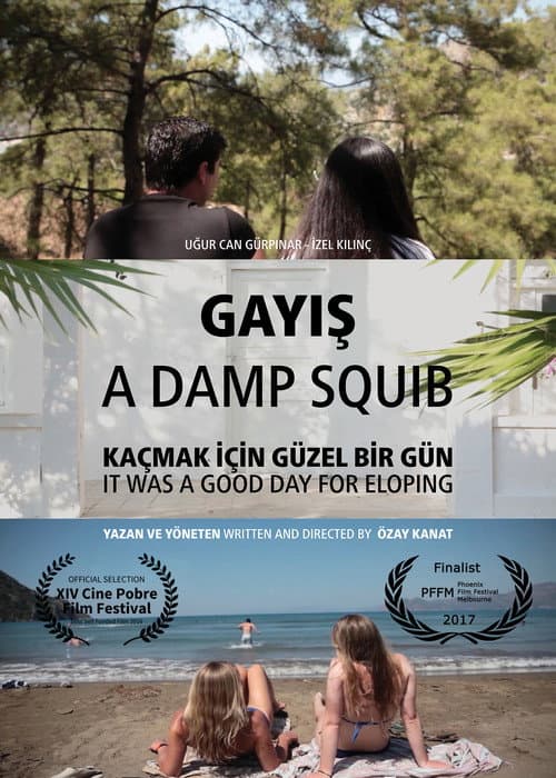 Gayış afişi