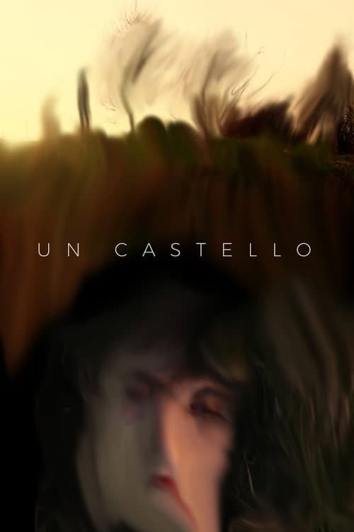 Un castello afişi
