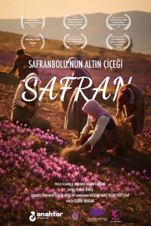 Safran: Safranbolu'nun Altın Çiçeği afişi