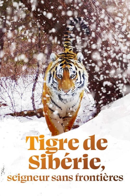 Sibirya Kaplanı, Gizli Krallık afişi