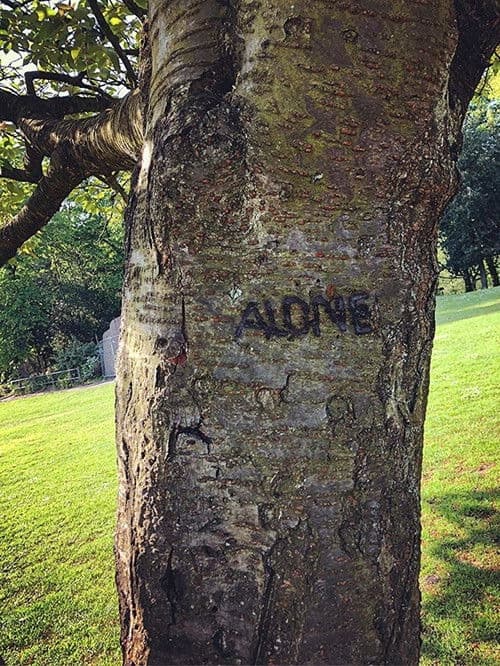 Alone afişi