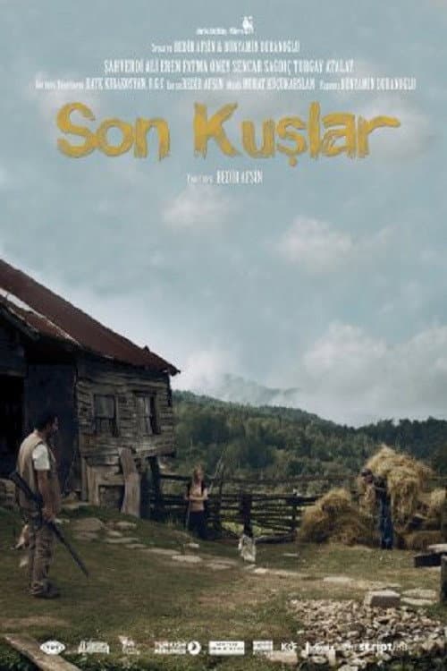 Son Kuşlar afişi