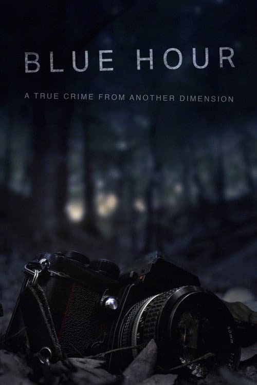 Blue Hour: The Disappearance of Nick Brandreth afişi