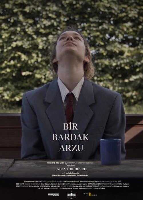 Bir Bardak Arzu afişi