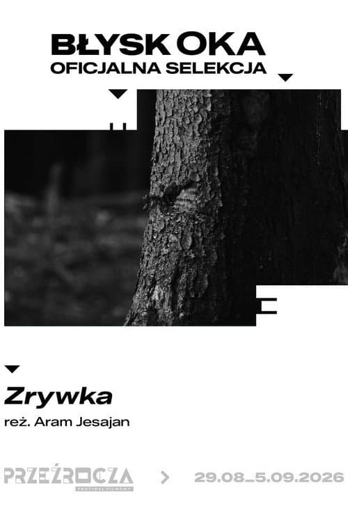 Zrywka afişi