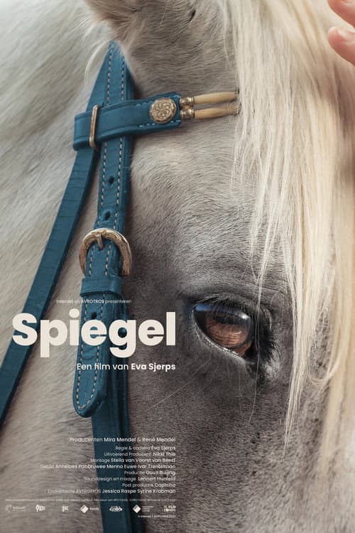 Spiegel afişi