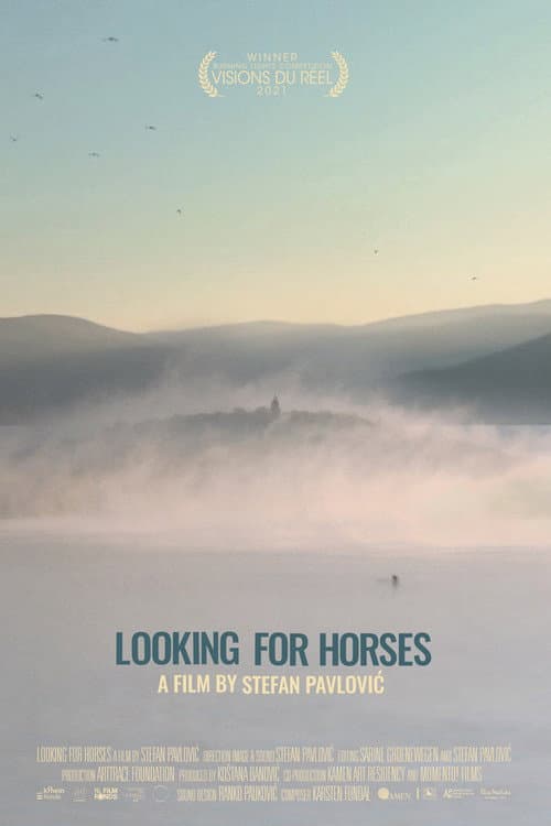 Looking for Horses afişi