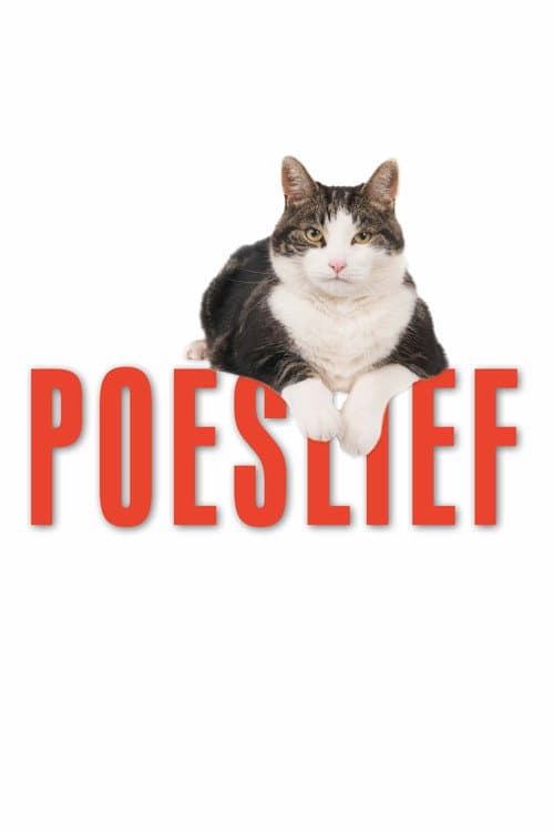 Kedi Aşkına afişi