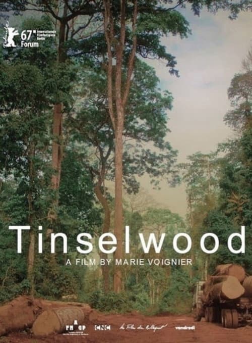 Tinselwood afişi
