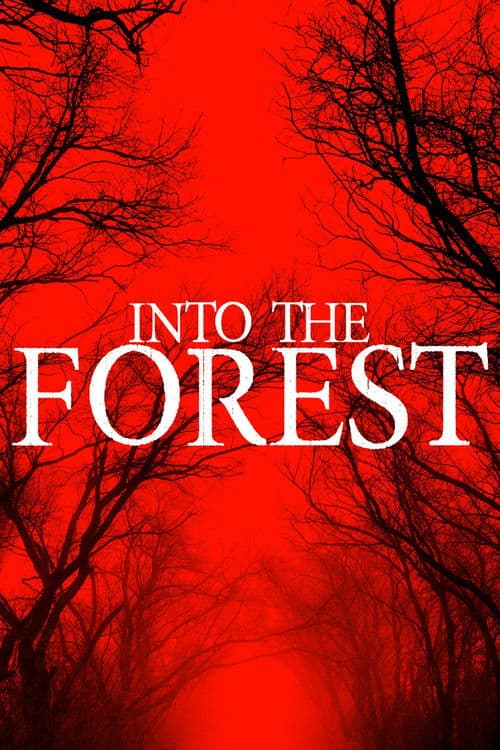 Into the Forest afişi