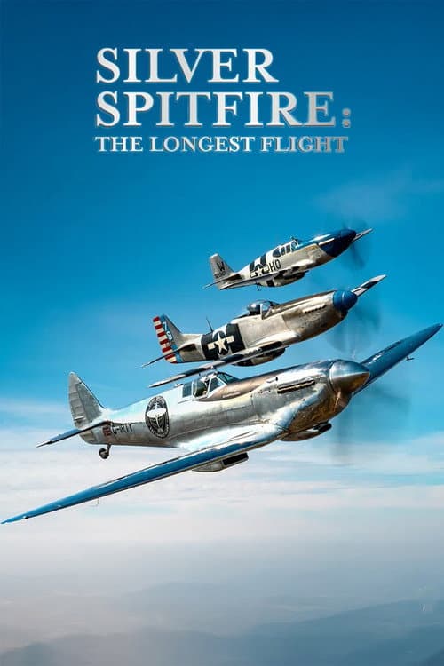 Silver Spitfire: The Longest Flight afişi