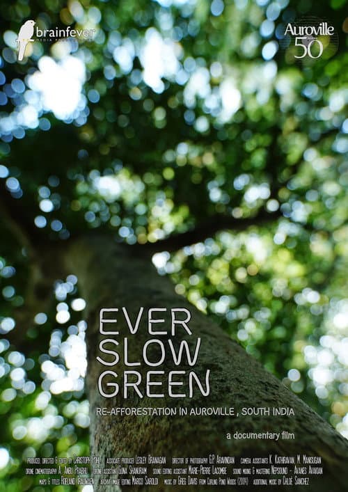 Ever Slow Green afişi